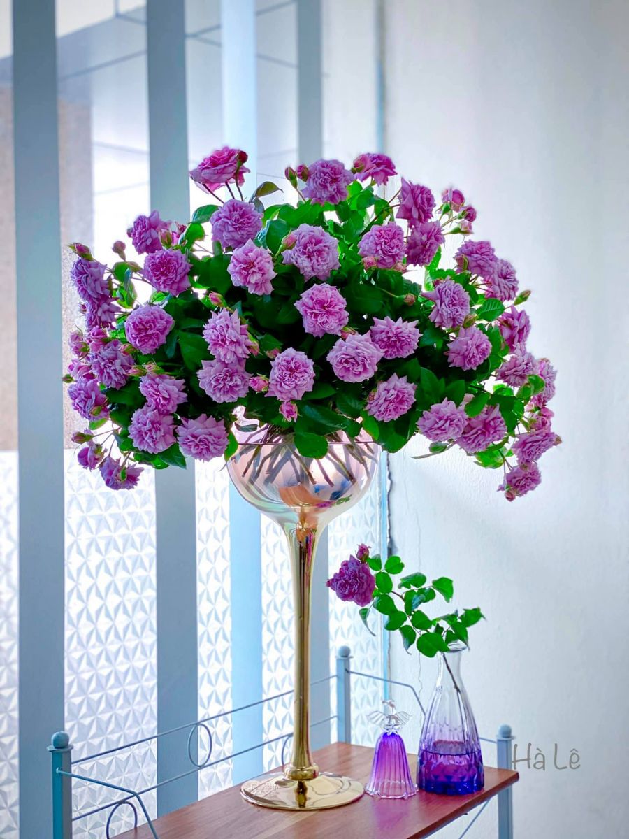 Tử vi hàng ngày - Thứ Ba 20/12/2022 của 12 cung hoàng đạo